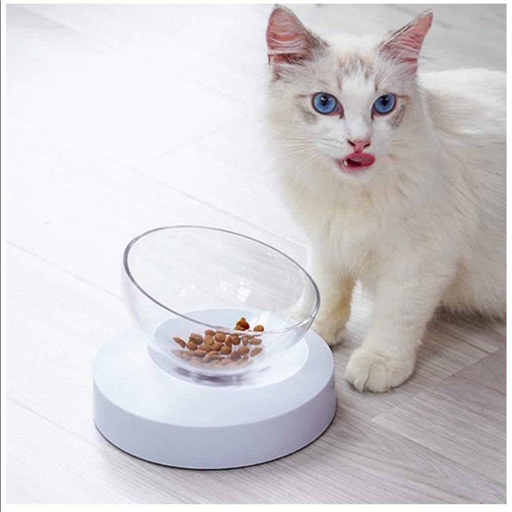 Modern Gray Pet Bowl
